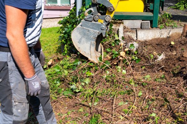 Hedge Removal Service in Merced