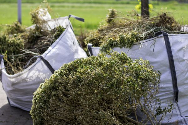 Cost of Shrubs Removal in Merced