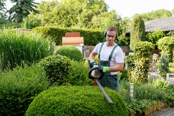 Shrubs Trimming in Merced