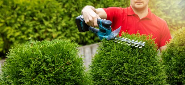 Hedge Shaping Service in Merced