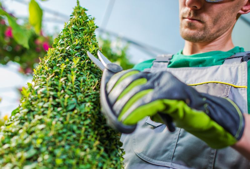 Hedge Pruning detail