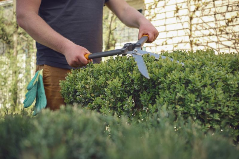 Healthy Pruned Shrubs