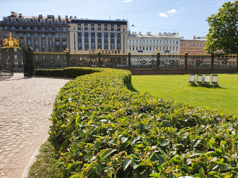 Landscape-Ready Shrubs